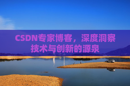 CSDN专家博客，深度洞察技术与创新的源泉